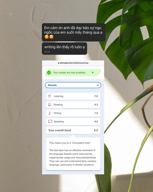Feedback học viên Lingo Lab, ảnh 5 trên 17